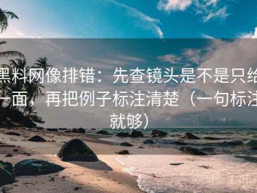 黑料网像排错：先查镜头是不是只给一面，再把例子标注清楚（一句标注就够）