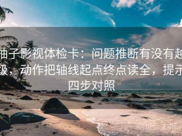 柚子影视体检卡：问题推断有没有越级，动作把轴线起点终点读全，提示四步对照