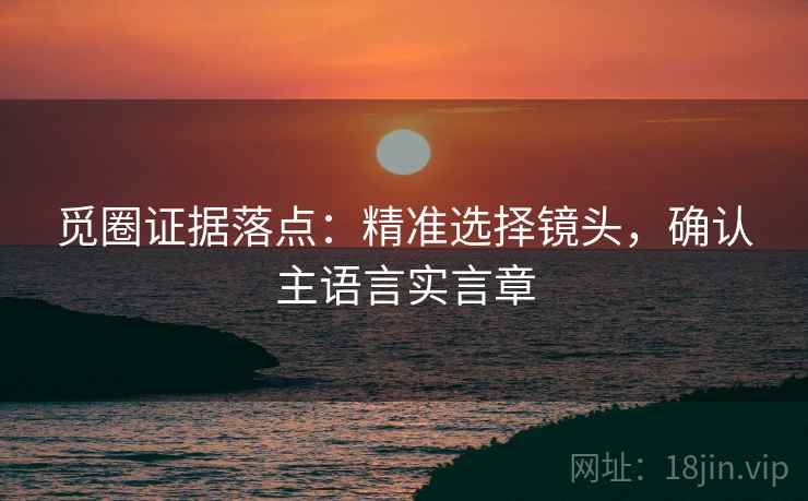 觅圈证据落点:精准选择镜头,确认主语言实言章 觅圈证据落点:精准选择镜头,确认主语言实言章