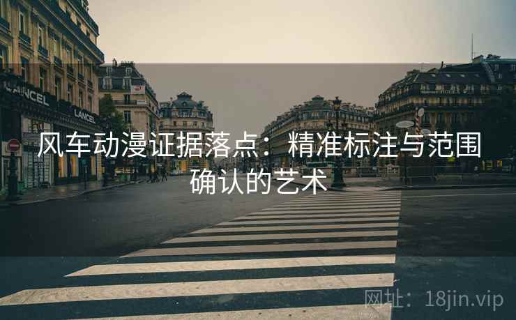 风车动漫证据落点：精准标注与范围确认的艺术